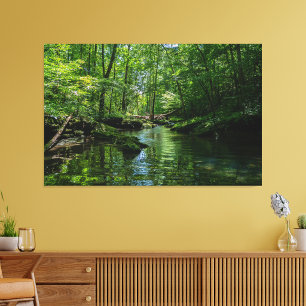 Serenity in the forest  canvas print