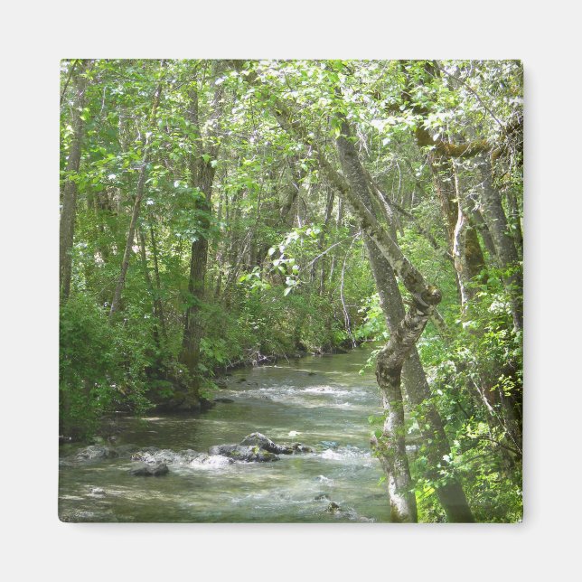 Serenity.... Magnet (Front)