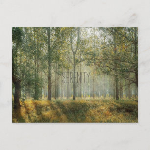 Serenity Nature Postcard
