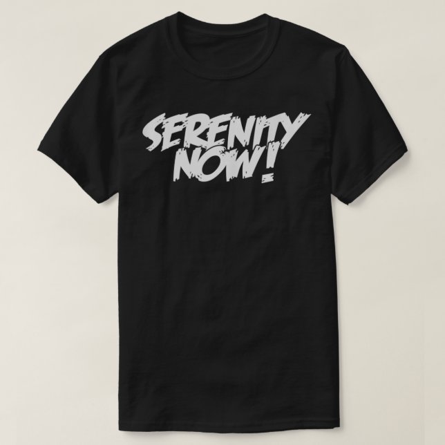 SERENITY NOW Angry Alcoholics AA Narcotics NA Anon T-Shirt (Design Front)