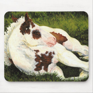 Serenity - Paint Horse Foal Mousepad