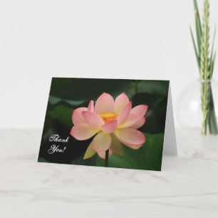 Serenity Pink Lotus Flower Buddhist Thank You Card