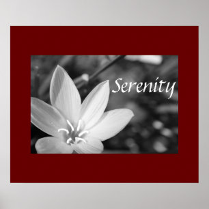 Serenity Poster