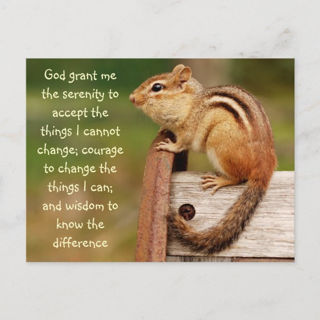 Serenity Prayer Chipmunk Postcard (Front)