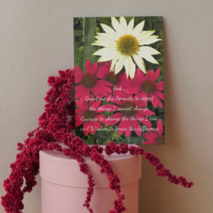 Serenity Prayer Coneflowers Floral Blank Card