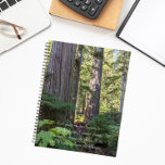 Serenity Prayer Green Forest Planner<br><div class="desc">This monthly/weekly calendar planner keeps all your up-coming activities and schedules organised in one, handy place and features the photo image of a green forest landscape with evergreen conifers along with the inspirational words of the Serenity Prayer printed in white, stylish script. Select your planner style, size and wire colour....</div>