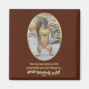 Serenity Prayer in a Nutshell Magnet