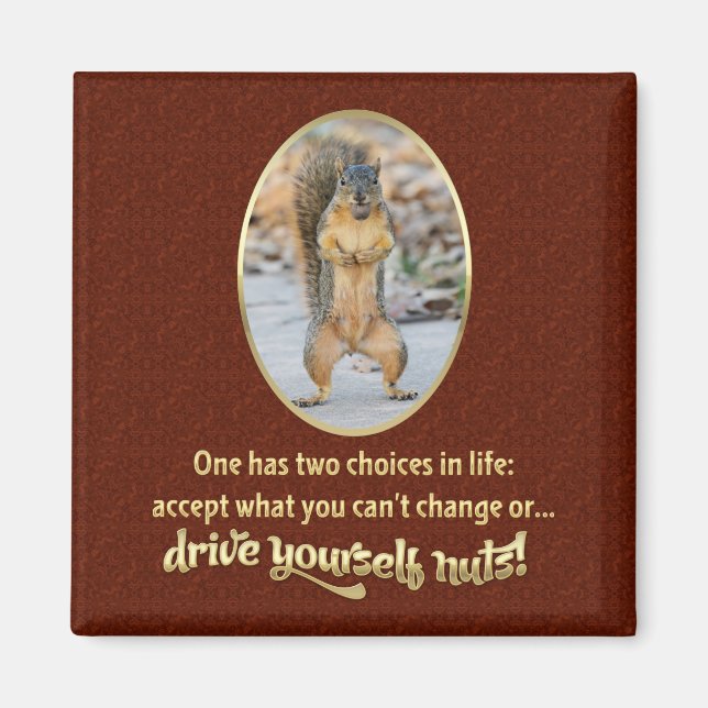 Serenity Prayer in a Nutshell Magnet (Front)