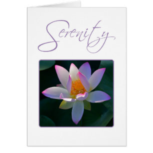 Serenity Prayer Pink Lotus Flower