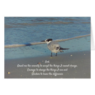 Serenity Prayer Sea Gull an the Beach