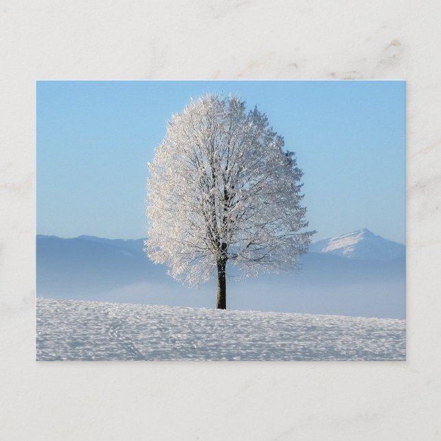 Serenity Prayer Winter Tree Postcard (Front)