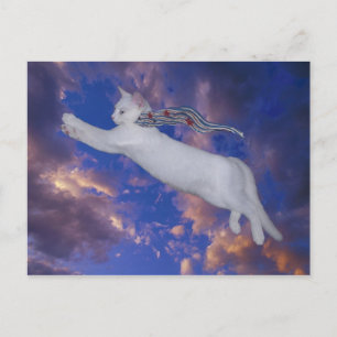 Serenity soars Postcard