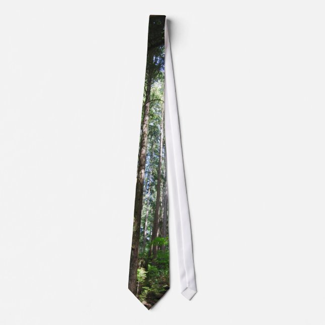 Serenity Tie (Front)