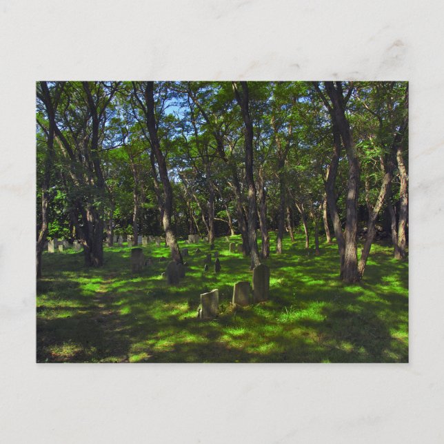 Serenity Woods Postcard (Front)