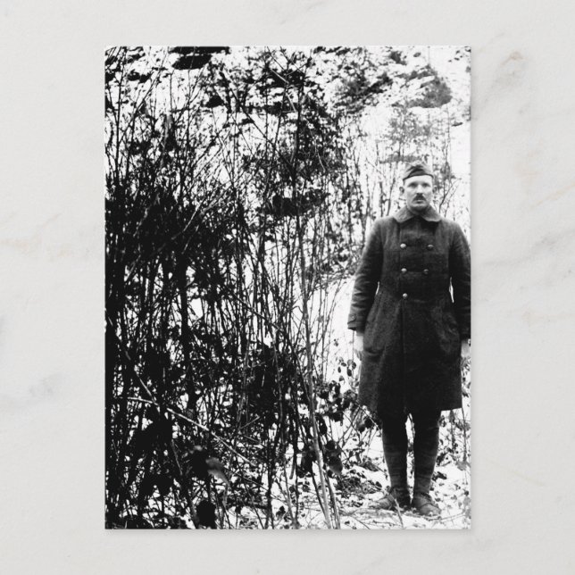 Sergt. Alvin C. York, 328th Infantry_War Image Postcard (Front)