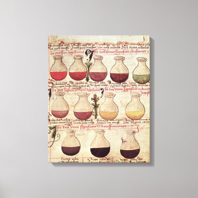 Series of flagons for urine analysis canvas print (Front)