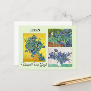 Series of Iris by Vincent Van Gogh Postcard