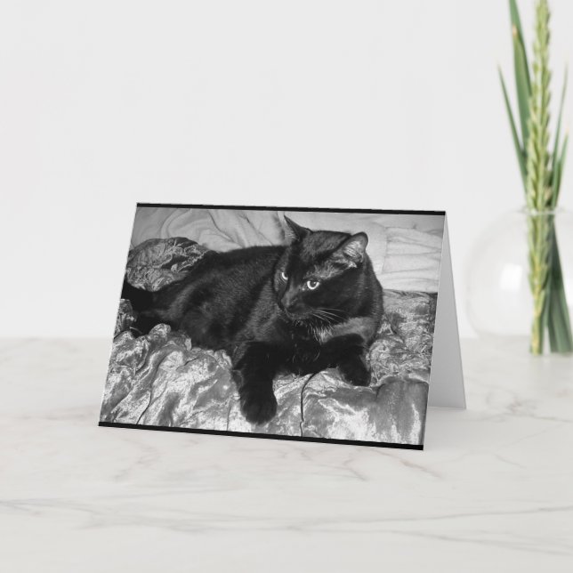 Serious Black Cat Card (Front)