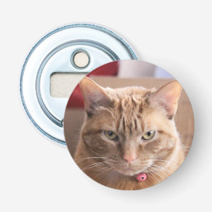 Serious Bottle Opener