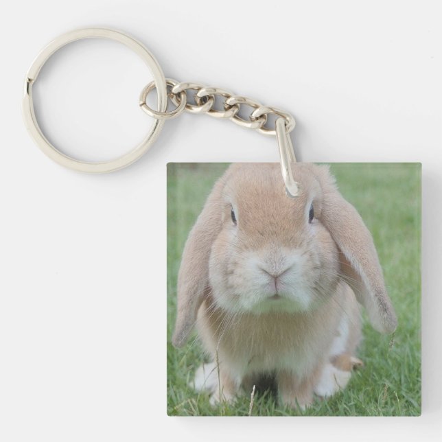 serious bunny photo key ring (Front)