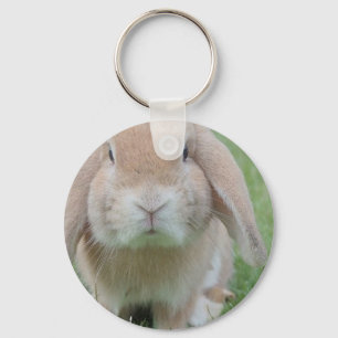 serious bunny photo key ring