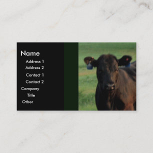 Serious Business Business Card