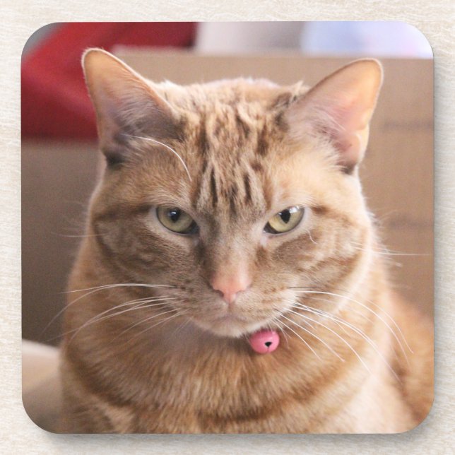 Serious Coaster (Front)