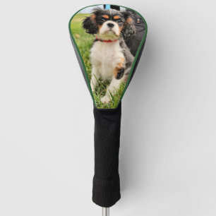 Serious Golf Head Cover