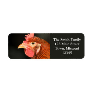 Serious Hen
