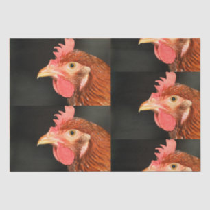 Serious hen  tissue paper