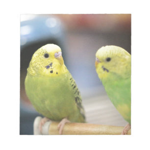 Serious keets notepad