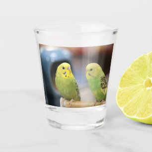 Serious keets shot glass