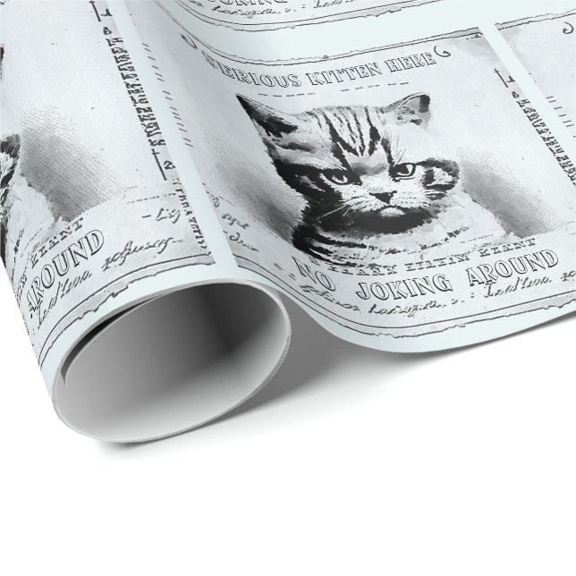 Serious kitten, old newspaper personalised wrapping paper (Roll Corner)