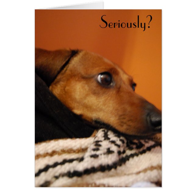 Serious puppy card (Front)