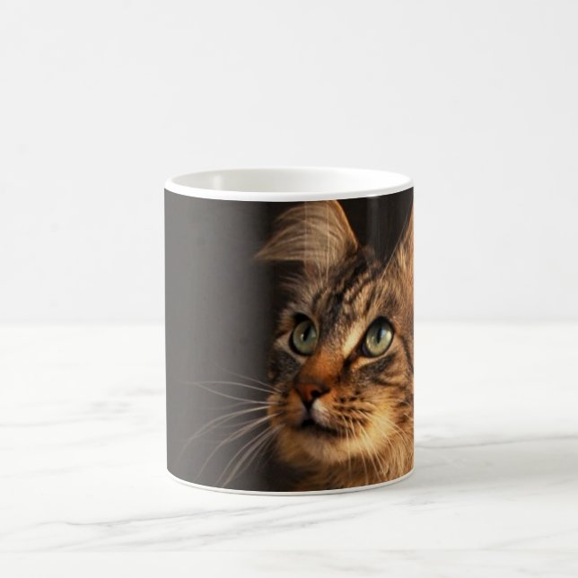 Serious Ramsey Coffee Mug (Center)