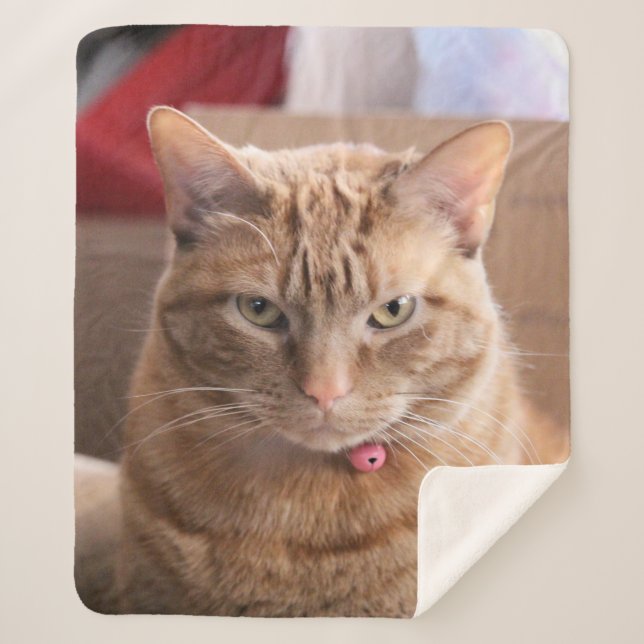 Serious Sherpa Blanket (Front)