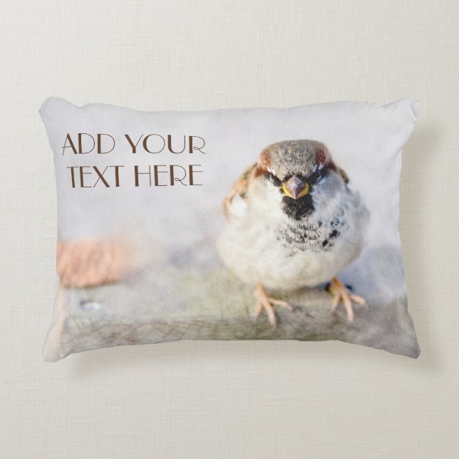 Serious Sparrow Decorative Cushion (Front)