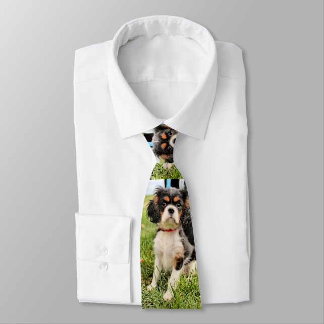 Serious Tie (Tied)