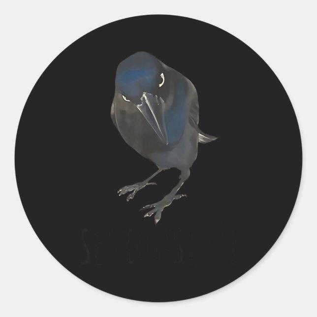 Seriously Funny Crow Sarcastic Quote  Classic Round Sticker (Front)