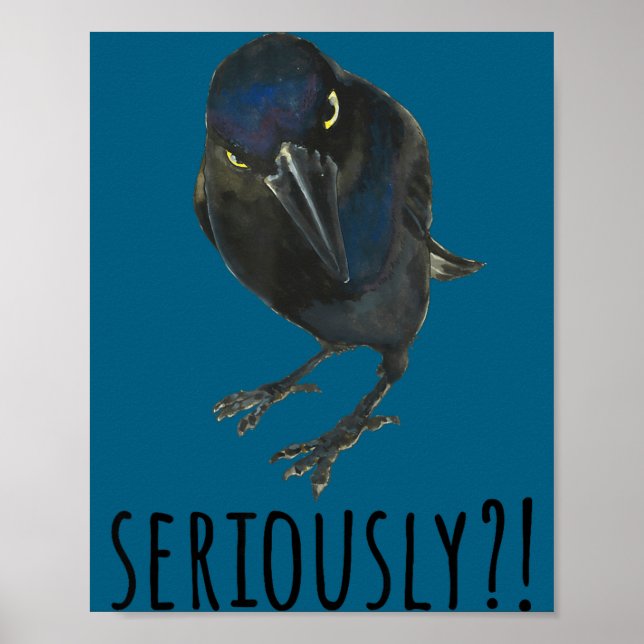 Seriously Mpy Black Grackle Black Bird  Poster (Front)