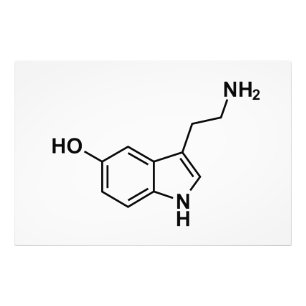 serotonin chemical formula science symbol elements photo print