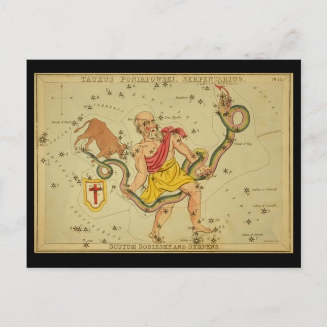 Serpens, Taurus Poniatowski, Serpentarius, etc. Postcard (Front)