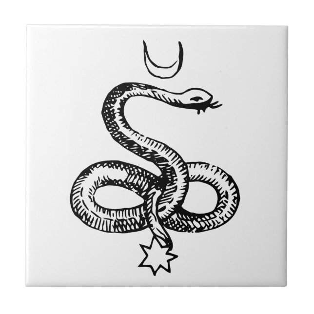 Serpent  - Pagan Symbols Tile (Front)