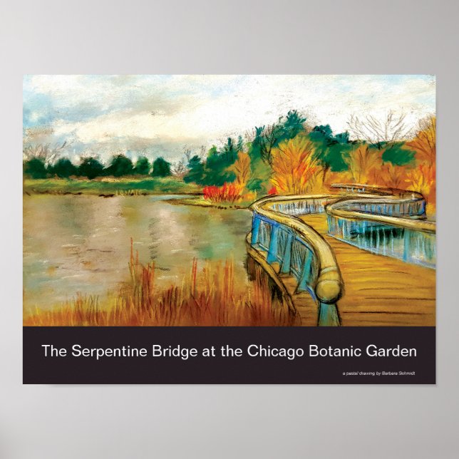 Serpentine Bridge at the Chicago Botanic Garden Poster (Front)