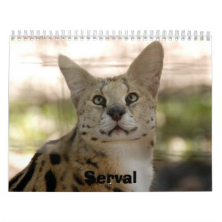 serval 017, Serval Calendar