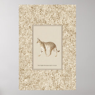 Serval Cat Poster Print  Classic Wildlife Wall Art