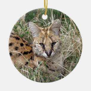 Serval cat relaxing in grass ceramic tree decoration