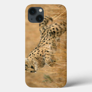 Serval (Leptailurus Serval) Jumping iPhone 13 Case