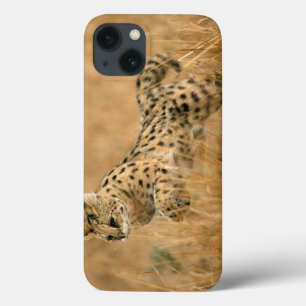 Serval (Leptailurus Serval) Jumping iPhone 13 Case