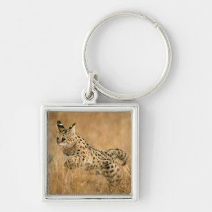 Serval (Leptailurus Serval) Jumping Key Ring